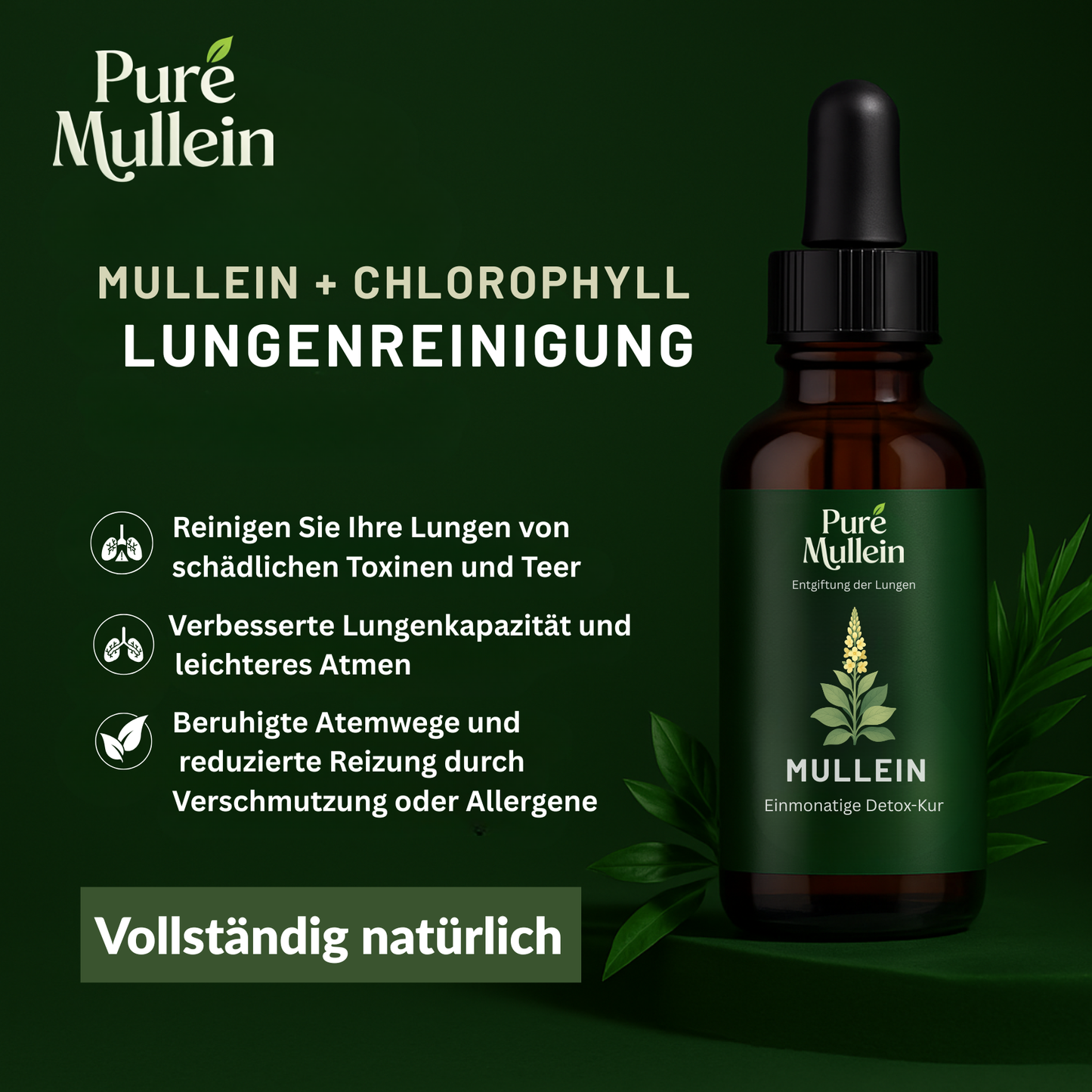 Pure Mullein® mit Chlorophyll – Für freies Atmen & gesunde Lunge