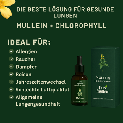 Pure Mullein® mit Chlorophyll – Für freies Atmen & gesunde Lunge